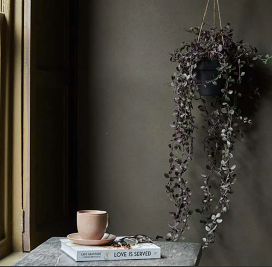 Hanging plant next to a cup and books on a table against a dark wall