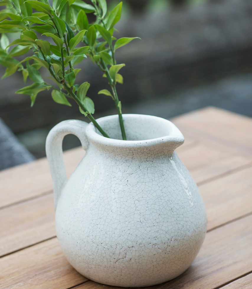 White ceramic pitcher with a plant on a wooden surface