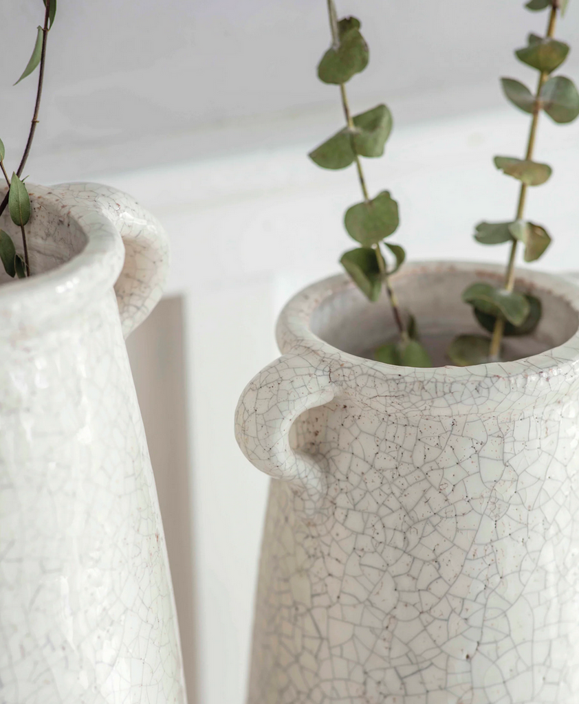 Two ceramic vases with cracked texture holding green plants on a white background