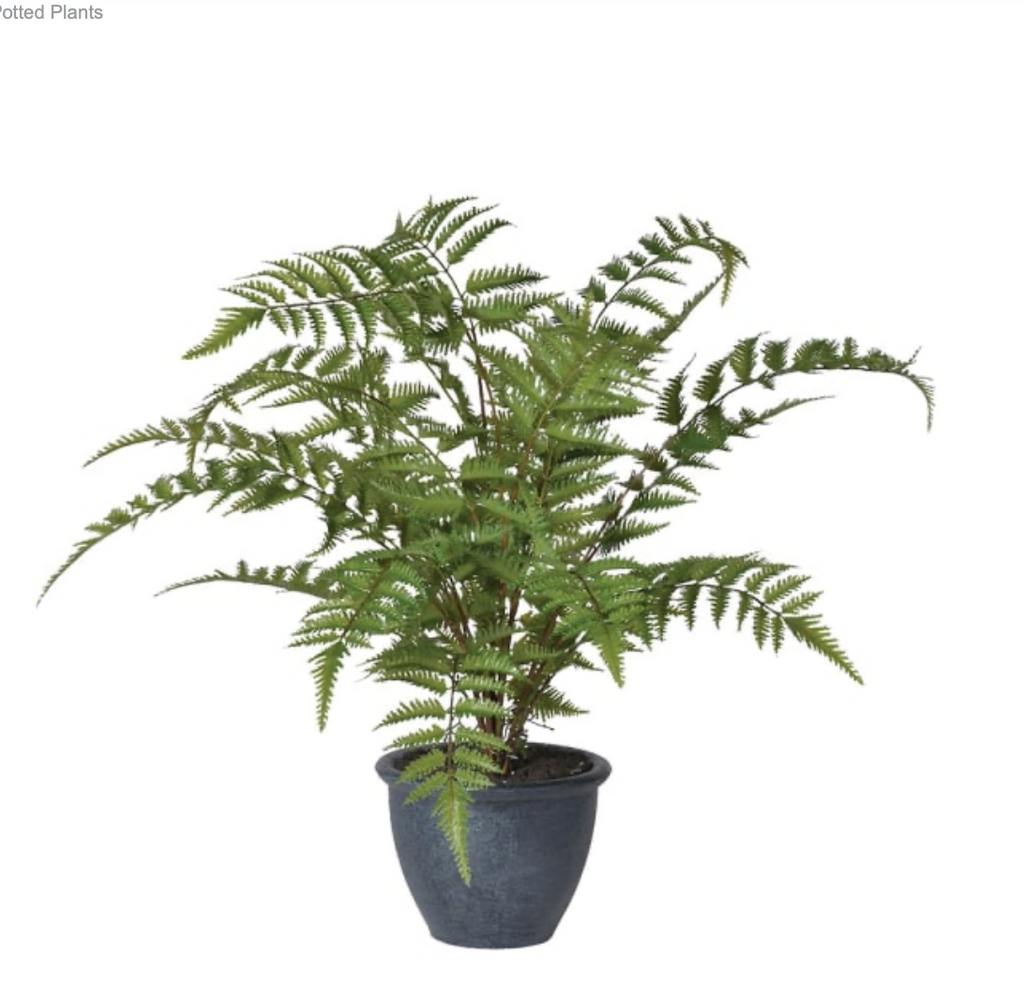 Green Bracken Fern Bush in Dark Grey Pot – Lifelike Artificial Plant