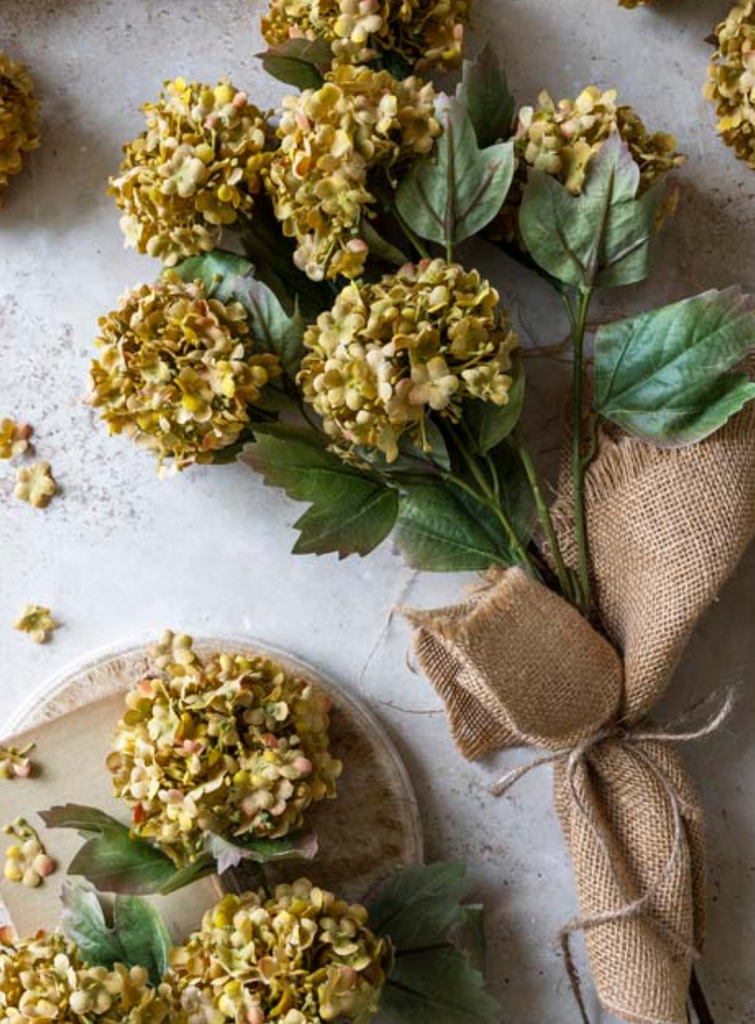 Guelder Rose Flower