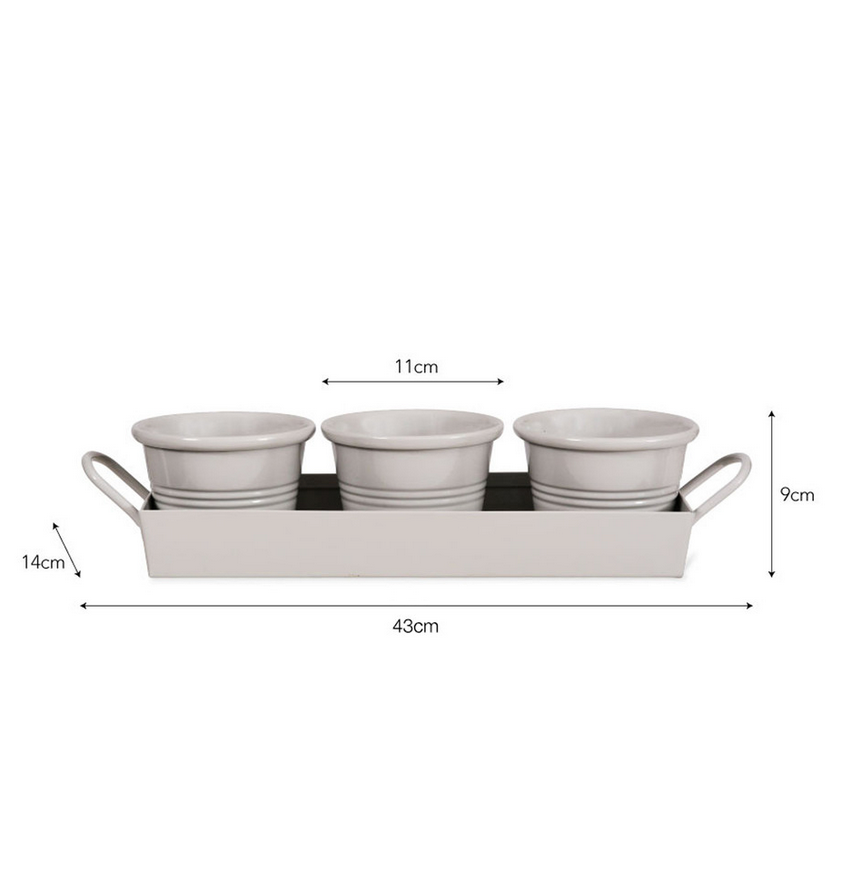 Plant Pots With Tray - Set of 3 