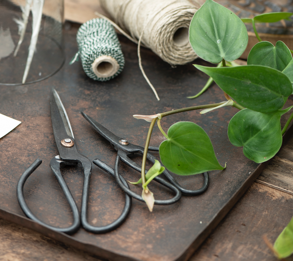 Traditional Scissors 