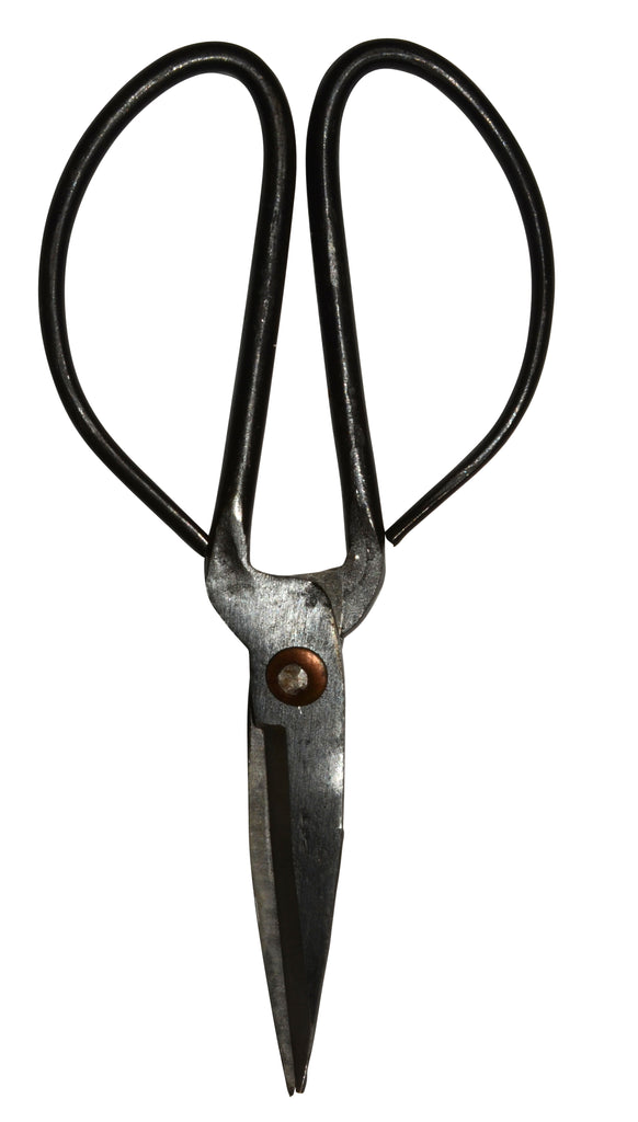 Traditional Scissors 