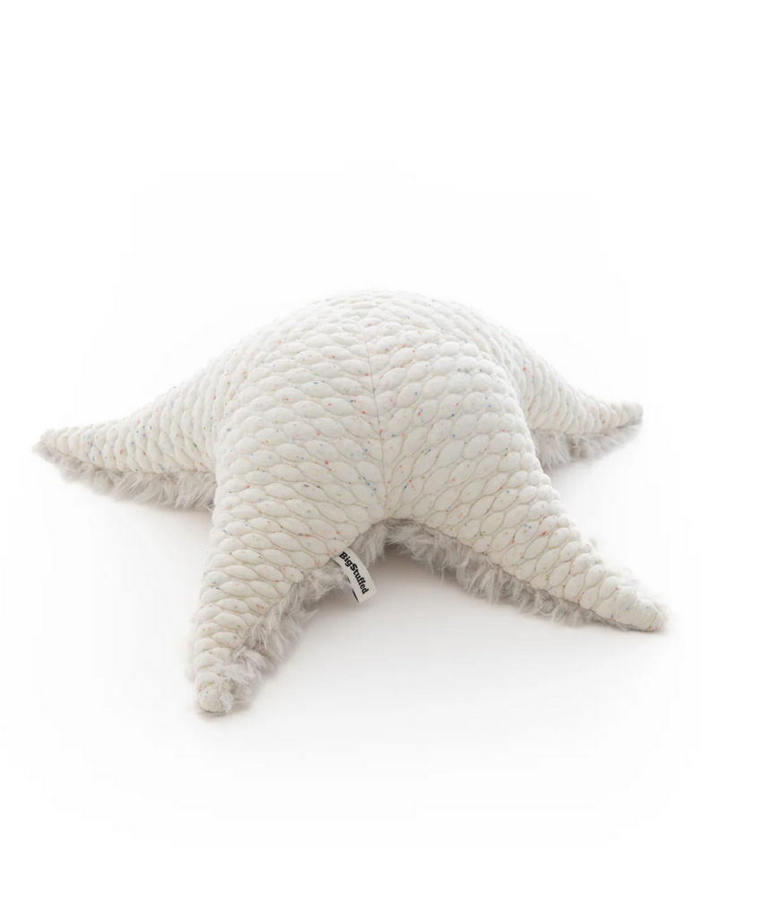 Starfish Toy