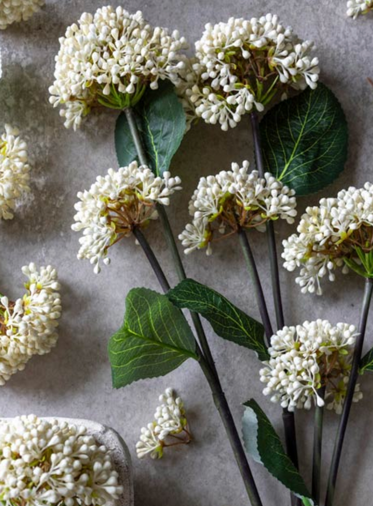 Viburnum Cream