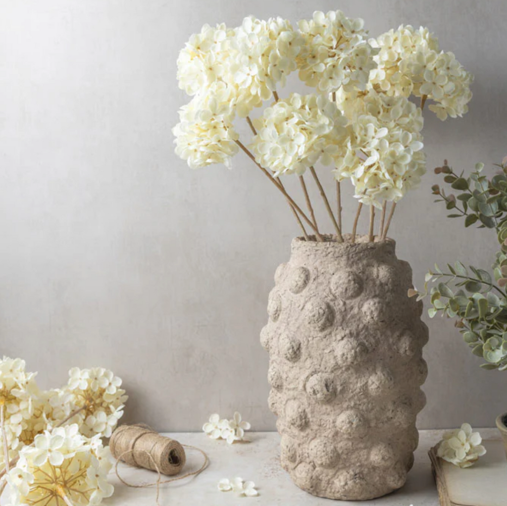 White Lace Hydrangea