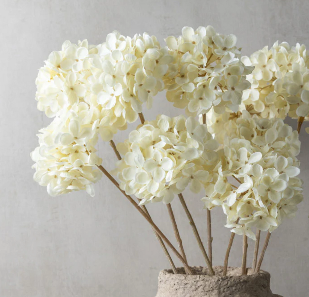 White Lace Hydrangea