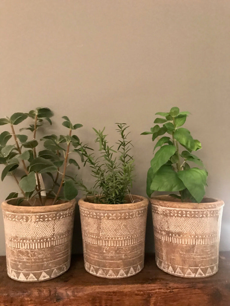 Set of 3 faux herbs and pots