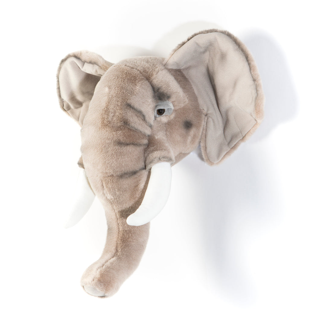 George The Elephant - Animal Head