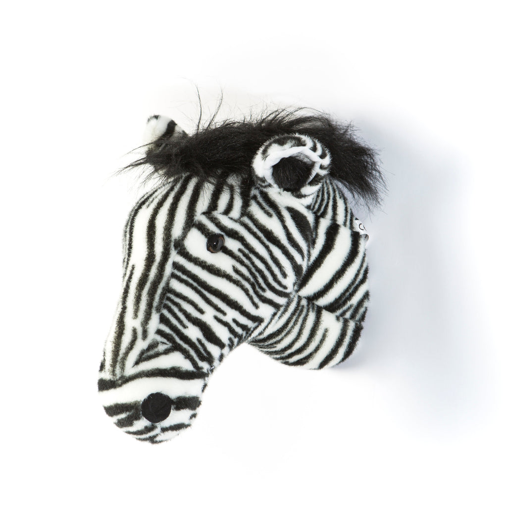 Daniel The Zebra - Animal Head